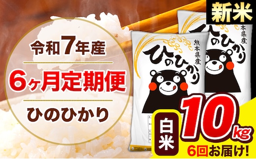 新米 令和7年産 ひのひかり 【6ヶ月定期便】 白米 10kg (5kg×2袋) 計6回お届け 《お申込み翌月から出荷》 熊本県産 白米 精米 ひの 米 こめ お米 熊本県 長洲町---hn7tei_147000_10kg_mo6_ng_h---
