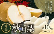 【2026年先行予約】梨 秀品 秋月梨 約10kg（10～24玉） 日本フルーツ《9月上旬-9月末頃出荷》熊本県 長洲町 なし 梨 果物 フルーツ デザート ギフト ご贈答---sn_cnfakn_ac9_r8_27500_10kg---