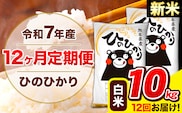 新米 令和7年産 ひのひかり 【12ヶ月定期便】 白米  10kg (5kg×2袋) 計12回お届け 《お申込み翌月から出荷》 熊本県産 白米 精米 ひの 米 こめ お米 熊本県 長洲町---hn7tei_294000_10kg_mo12_ng_h---