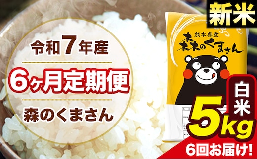 新米 令和7年産 森のくまさん 【6ヶ月定期便】白米 5kg 5kg×1袋 計6回お届け 《お申込み翌月から出荷》 お米 こめ 熊本県産 ご飯 備蓄---mk7tei_75000_5kg_mo6_ng_h---