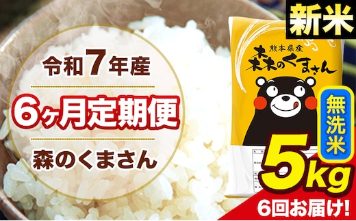 新米 令和7年産 森のくまさん 【6ヶ月定期便】無洗米 5kg 5kg×1袋 計6回お届け 《お申込み翌月から出荷》 お米 こめ 熊本県産 ご飯 備蓄---mk7tei_75000_5kg_mo6_ng_m---