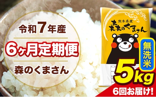 令和7年産 森のくまさん 【6ヶ月定期便】無洗米 5kg 5kg×1袋 計6回お届け 《お申込み翌月から出荷》 お米 こめ 熊本県産 ご飯 備蓄---mk7tei_75000_5kg_mo6_ng_m---