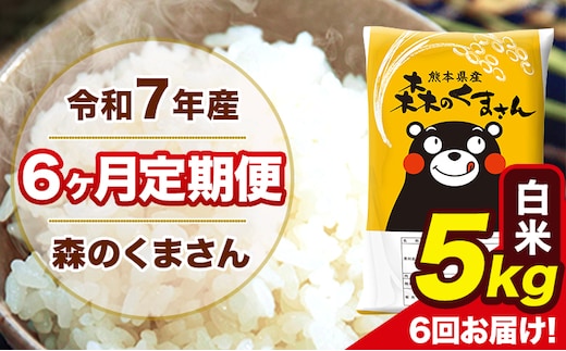 令和7年産 森のくまさん 【6ヶ月定期便】白米 5kg 5kg×1袋 計6回お届け 《お申込み翌月から出荷》 お米 こめ 熊本県産 ご飯 備蓄---mk7tei_75000_5kg_mo6_ng_h---