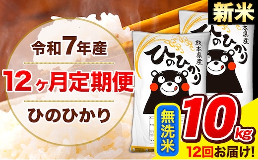 新米 令和7年産 ひのひかり 【12ヶ月定期便】 無洗米 10kg (5kg×2袋) 計12回お届け 《お申込み翌月から出荷》 熊本県産 無洗米 精米 ひの 米 こめ お米 熊本県 長洲町---hn7tei_294000_10kg_mo12_ng_m---