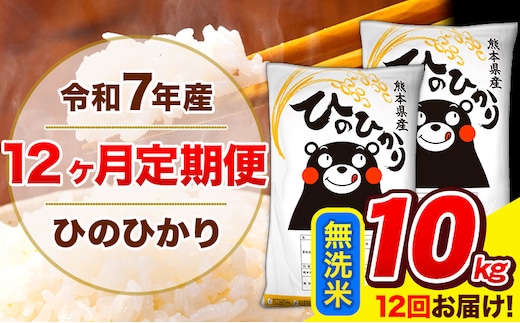 令和7年産 ひのひかり 【12ヶ月定期便】 無洗米 10kg (5kg×2袋) 計12回お届け 《お申込み翌月から出荷》 熊本県産 無洗米 精米 ひの 米 こめ お米 熊本県 長洲町---hn7tei_294000_10kg_mo12_ng_m---
