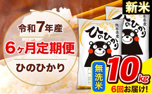 新米 令和7年産 ひのひかり 【6ヶ月定期便】 無洗米 10kg (5kg×2袋) 計6回お届け 《お申込み翌月から出荷》 熊本県産 無洗米 精米 ひの 米 こめ お米 熊本県 長洲町---hn7tei_147000_10kg_mo6_ng_m---