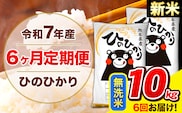 新米 令和7年産 ひのひかり 【6ヶ月定期便】 無洗米  10kg (5kg×2袋) 計6回お届け 《お申込み翌月から出荷》 熊本県産 無洗米 精米 ひの 米 こめ お米 熊本県 長洲町---hn7tei_147000_10kg_mo6_ng_m---