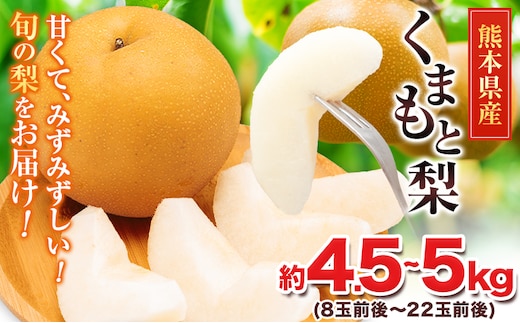 ＜2026年先行予約＞ 梨 くまもと梨 秋 旬 なし 幸水 豊水 先行 果物 くだもの フルーツ 送料無料 あきづき 甘太 新高 新興 約4.5～5kg(8玉～22玉前後) 熊本県産【着日指定不可】《8月下旬-11月中旬頃出荷》旬 果物 お取り寄せ ナシ---fn_cngsnasi_h811_r8_13500_5kg---