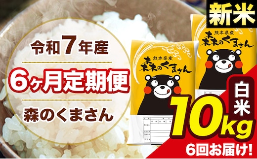 新米 令和7年産 森のくまさん【6ヶ月定期便】 白米 10kg 5kg×2袋 計6回お届け 《お申込み翌月から出荷》 お米 こめ 熊本県産 ご飯 備蓄---mk7tei_147000_10kg_mo6_ng_h---