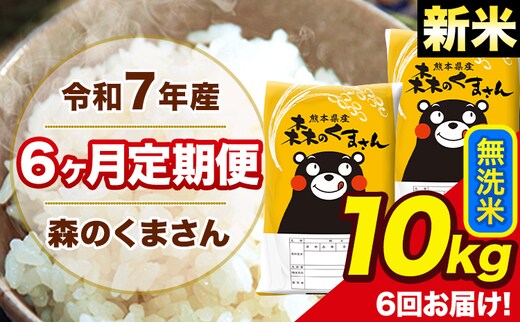 新米 令和7年産 森のくまさん【6ヶ月定期便】 無洗米 10kg 5kg×2袋 計6回お届け 《お申込み翌月から出荷》 お米 こめ 熊本県産 ご飯 備蓄---mk7tei_147000_10kg_mo6_ng_m---