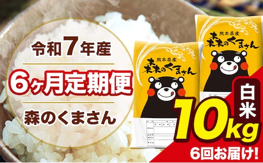 令和7年産 森のくまさん【6ヶ月定期便】 白米 10kg 5kg×2袋 計6回お届け 《お申込み翌月から出荷》 お米 こめ 熊本県産 ご飯 備蓄---mk7tei_147000_10kg_mo6_ng_h---