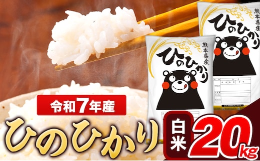 令和7年産 ひのひかり 白米 20kg 《7-14日以内に出荷予定(土日祝除く)》 5kg×4袋 熊本県産 米 精米 ひの 長洲町---ng_hn7_wx_48500_20kg_h---