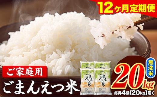 【12ヶ月定期便】訳あり 米 無洗米 ごまんえつ米 20kg 5kg×4袋 米 こめ 定期便 家庭用 備蓄 熊本県 長洲町 くまもと ブレンド米 熊本県産 訳あり 常温 配送 《お申込み翌月から出荷》---ng_gmntei_20kg_534000_mo12---
