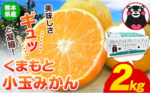 訳あり みかん 小玉みかん くまもと小玉みかん 2kg (2kg×1箱) 秋 旬 不揃い 傷 ご家庭用 SDGs 小玉 たっぷり 熊本県 産 S-3Sサイズ フルーツ 旬 柑橘 長洲町 温州みかん《9月下旬-12月下旬頃出荷》---fn_nkomkn_p9g12g_r8_4500_2kg---