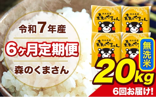 令和7年産 森のくまさん 【6ヶ月定期便】無洗米 20kg 5kg×4袋 計6回お届け 《お申込み翌月から出荷》 お米 こめ 熊本県産 ご飯 備蓄---mk7tei_291000_20kg_mo6_ng_m---