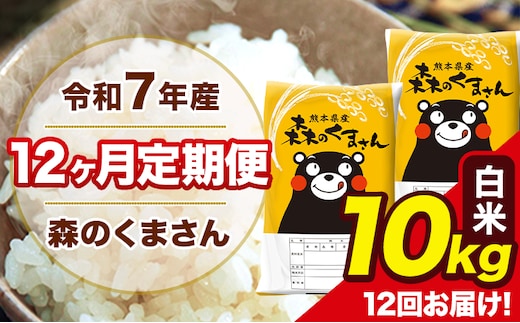 令和7年産 森のくまさん 白米 10kg 5kg×2袋 計12回お届け 《お申込み翌月から出荷》 お米 こめ 熊本県産 ご飯 備蓄---mk7tei_294000_10kg_mo12_ng_h---