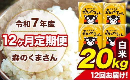 令和7年産 森のくまさん 白米 20kg 5kg×4袋 計12回お届け 《お申込み翌月から出荷》 お米 こめ 熊本県産 ご飯 備蓄---mk7tei_582000_20kg_mo12_ng_h---