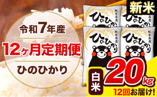 新米 令和7年産 ひのひかり 【12ヶ月定期便】 白米 20kg (5kg×4袋) 計12回お届け 《お申込み翌月から出荷》 熊本県産 白米 精米 ひの 米 こめ お米 熊本県 長洲町---hn7tei_582000_20kg_mo12_ng_h---