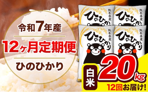 令和7年産 ひのひかり 【12ヶ月定期便】 白米 20kg (5kg×4袋) 計12回お届け 《お申込み翌月から出荷》 熊本県産 白米 精米 ひの 米 こめ お米 熊本県 長洲町---hn7tei_582000_20kg_mo12_ng_h---