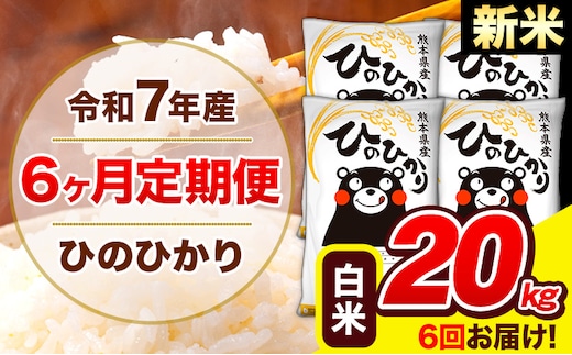 新米 令和7年産 ひのひかり 【6ヶ月定期便】 白米 20kg (5kg×4袋) 計6回お届け 《お申込み翌月から出荷》 熊本県産 白米 精米 ひの 米 こめ お米 熊本県 長洲町---hn7tei_291000_20kg_mo6_ng_h---