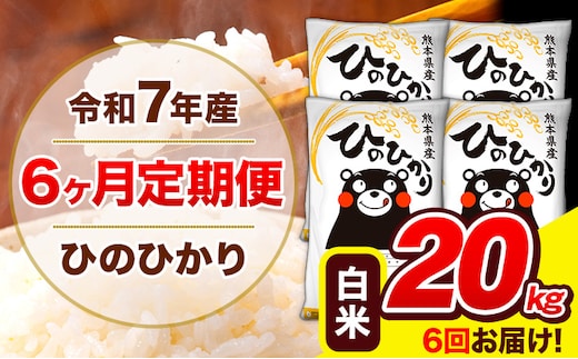 令和7年産 ひのひかり 【6ヶ月定期便】 白米 20kg (5kg×4袋) 計6回お届け 《お申込み翌月から出荷》 熊本県産 白米 精米 ひの 米 こめ お米 熊本県 長洲町---hn7tei_291000_20kg_mo6_ng_h---