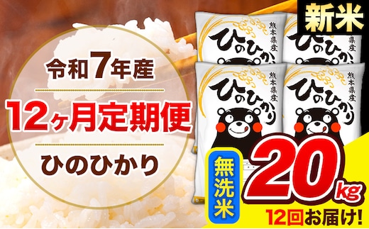 新米 令和7年産 ひのひかり 【12ヶ月定期便】 無洗米 20kg (5kg×4袋) 計12回お届け 《お申込み翌月から出荷》 熊本県産 無洗米 精米 ひの 米 こめ お米 熊本県 長洲町---hn7tei_582000_20kg_mo12_ng_m---