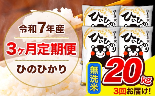 令和7年産 ひのひかり 【3ヶ月定期便】 無洗米 20kg (5kg×4袋) 計3回お届け 《お申込み翌月から出荷》 熊本県産 無洗米 精米 ひの 米 こめ お米 熊本県 長洲町---hn7tei_145500_20kg_mo3_ng_m---