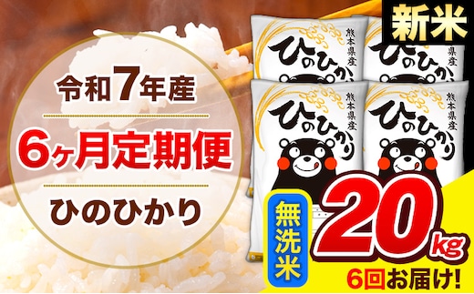 新米 令和7年産 ひのひかり 【6ヶ月定期便】 無洗米 20kg (5kg×4袋) 計6回お届け 《お申込み翌月から出荷》 熊本県産 無洗米 精米 ひの 米 こめ お米 熊本県 長洲町---hn7tei_291000_20kg_mo6_ng_m---