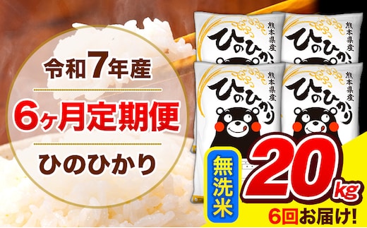 令和7年産 ひのひかり 【6ヶ月定期便】 無洗米 20kg (5kg×4袋) 計6回お届け 《お申込み翌月から出荷》 熊本県産 無洗米 精米 ひの 米 こめ お米 熊本県 長洲町---hn7tei_291000_20kg_mo6_ng_m---