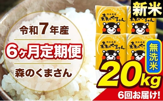 新米 令和7年産 森のくまさん 【6ヶ月定期便】無洗米 20kg 5kg×4袋 計6回お届け 《お申込み翌月から出荷》 お米 こめ 熊本県産 ご飯 備蓄---mk7tei_291000_20kg_mo6_ng_m---