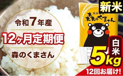 新米 令和7年産 森のくまさん 【12ヶ月定期便】白米 5kg 5kg×1袋 計12回お届け 《お申込み翌月から出荷》 お米 こめ 熊本県産 ご飯 備蓄---mk7tei_150000_5kg_mo12_ng_h---
