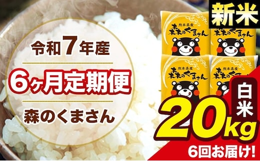 新米 令和7年産 森のくまさん 【6ヶ月定期便】白米 20kg 5kg×4袋 計6回お届け 《お申込み翌月から出荷》 お米 こめ 熊本県産 ご飯 備蓄---mk7tei_291000_20kg_mo6_ng_h---