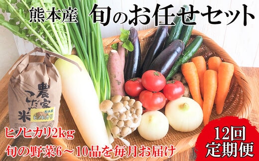 【定期便12回】毎月お届け!旬のお任せセット お米(ヒノヒカリ) 2kg・ 旬の新鮮お野菜(6～10品目)セット (詰め合わせ) | 熊本県 和水町 くまもと なごみまち なごみ ヒノヒカリ ひのひかり米 単一原料米 2kg 野菜 旬 旬の野菜 産地直送 詰め合わせ セット 定期 定期便 12回