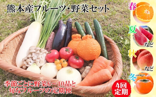 【定期便4回】春夏秋冬!季節の新鮮フルーツ・野菜セット(6～10品目) (詰め合わせ) | 熊本県 和水町 くまもと なごみまち なごみ 野菜 果物 季節の果物 フルーツ 詰め合わせ セット 定期便 定期 4回