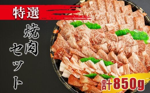 特選焼肉セット(牛肉:ロース 300g、牛肉:カルビ:300g、牛タン:100g 豚肉:150g)| 熊本県 熊本 くまもと 和水町 なごみまち なごみ 牛肉 肉 牛タン カルビ 豚肉 焼肉 セット 特選 食べ比べ
