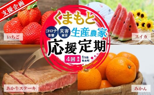 【定期便４回】支援企画！くまもと生産農家応援定期便！ コロナ影響・災害被害 なごみ町 | 熊本県 熊本 くまもと 和水町 なごみ いちご スイカ 小玉 牛肉 あか牛 赤牛 肥後 ステーキ みかん ミカン 蜜柑 定期便 4回 3か月毎
