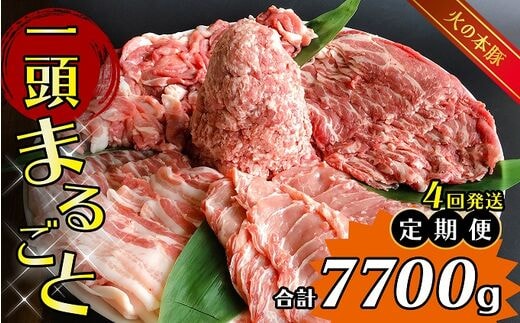 【定期4回発送】 火の本豚 一頭まるごと便 合計7700g 豚肉 熊本 グランプリ受賞 | 熊本県 熊本 くまもと 和水町 なごみ 豚肉 火の本豚 地域ブランド 肩ロース ロース スライス 豚バラ バラ ミンチ 豚ミンチ 切り落とし 定期便 4回