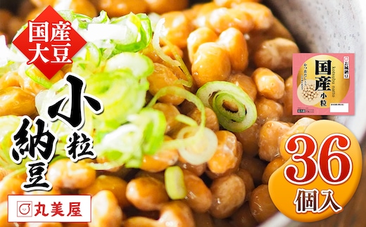 国産大豆100％使用 国産小粒納豆 36食入 | 熊本県 和水町 くまもと なごみまち 国産大豆 国産 納豆 ヘルシー ナットウキナーゼ 健康 小粒 発酵 発酵食品 おかず ご飯のお供
