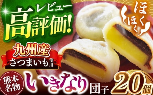 和水 いきなり団子 20個 | 熊本県 熊本 くまもと 和水町 なごみまち なごみ お菓子 和菓子 郷土料理 団子 あんこ さつまいも あん