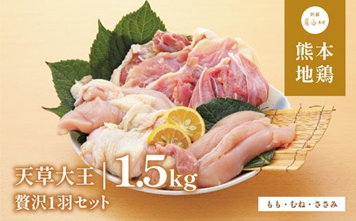 【ふるさと納税】天草大王 贅沢1羽 セット 計1.5kg 【配送不可地域：離島】あそ大王ファーム株式会社 《60日以内に出荷予定(土日祝除く)》熊本 産山 鶏 鶏肉 もも むね ささみ---ubuyama_adf_8_1500g---