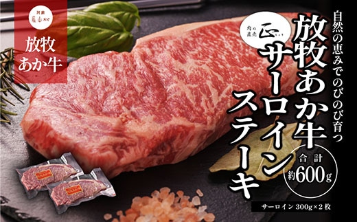阿蘇うぶやま村の放牧あか牛サーロインステーキ《60日以内に出荷予定（土日祝除く）》---ubuyama_yns_20_600g---