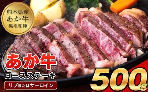 あか牛（褐毛和種）ロースステーキ (リブまたはサーロイン) 250g×2 500g 熊本県産 肉 和牛 牛肉 赤牛 あかうし リブロース サーロイン 冷凍 《2026年1月中旬-3月末頃出荷》送料無料---ubuyama_lcl_794_500g---