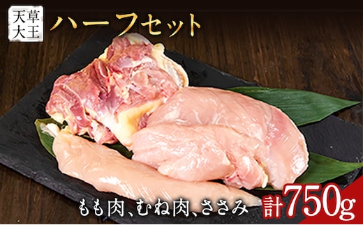 【ふるさと納税】天草大王 もも・むね・ささみセット 750g 【配送不可地域：離島】 あそ大王ファーム株式会社《60日以内に出荷予定(土日祝除く)》熊本 産山 鶏 鶏肉 セット---ubuyama_adf_6_750g---