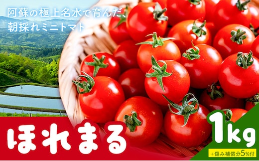 ミニトマト ほれまる 約1kg 熊貴農園《7月上旬-11月上旬出荷》熊本県 阿蘇郡 産山村 ミニトマト トマト とまと 野菜 やさい プチトマト---ubuyama_yun_3_1kg---
