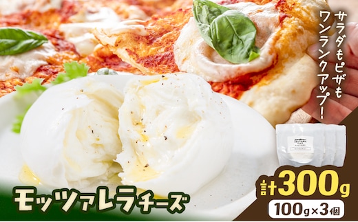 モッツァレラチーズ 3個 計300g 株式会社UBUYAMAPLACE《30日以内に出荷予定(土日祝除く)》熊本県 産山村 チーズ モッツァレラ フレッシュ フレッシュタイプ ナチュラルチーズ 冷凍---ubuyama_ubp_25_3p---