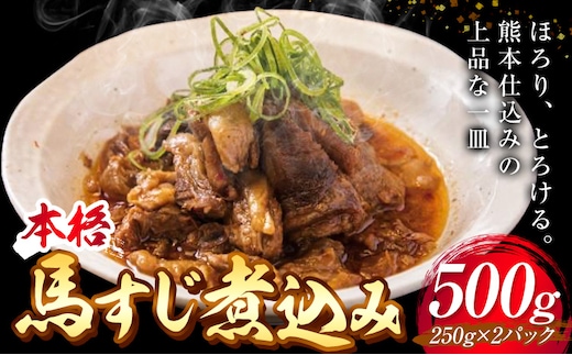 馬肉 本格馬すじ煮込み 馬すじ 煮込み 外輪 【配送不可地域あり】（離島）《60日以内に出荷予定(土日祝除く)》 熊本 冷凍 馬刺 馬肉 絶品 おつまみ 贈答用 ギフト お中元 お歳暮 産山村 送料無料---ubuyama_grn_4_500g---