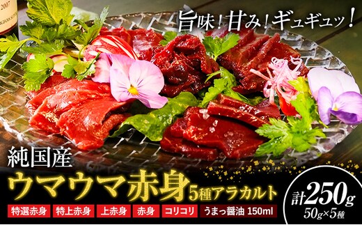 馬刺し 純国産 ウマウマ 赤身 5種 アラカルト 専用醤油付き 50g ×5種 計250g 有限会社九州食肉産業《30日以内に出荷予定(土日祝除く)》熊本県 産山村 純国産 馬刺し 国産 赤身 熊本肥育 馬刺 馬肉 詰め合わせ 贈答用 ギフト お中元 お歳暮---ubuyama_kss_12_250g---
