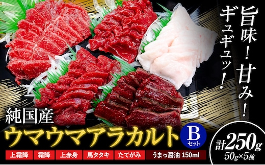 馬刺し 純国産 ウマウマ アラカルト Bセット（たてがみ） 専用醤油付き 50g ×5種 計250g 有限会社九州食肉産業《30日以内に出荷予定(土日祝除く)》熊本県 産山村 純国産 馬刺し 国産 熊本肥育 馬刺 馬肉 詰め合わせ 贈答用 ギフト お中元 お歳暮---ubuyama_kss_18_250g---
