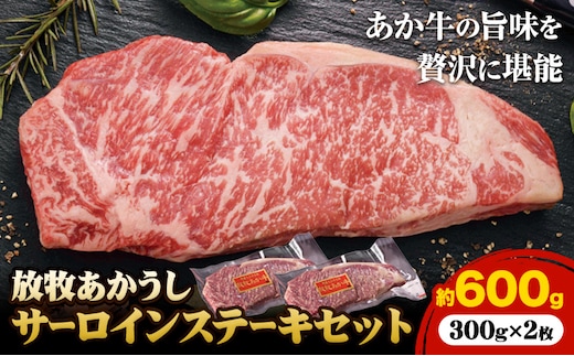阿蘇うぶやま村の放牧あか牛サーロインステーキ 600g あか牛 ステーキ肉 300g 2枚 サーロイン ステーキ くまもとあか牛 赤身 和牛 牛肉 牛 国産 あか牛 焼肉正 人気 ギフト 贈り物 お中元 お歳暮 贈答 熊本 阿蘇 産山村 《60日以内に出荷(土日祝除く)》【配送不可地域あり】---ubuyama_yns_20_600g---
