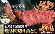 ふるさと納税 A4～A5等級 黒毛和牛 切り落とし 和王 バラ 霜降り 焼肉 550g A5 A4 等級《30日以内に出荷予定(土日祝除く)》くまもと黒毛和牛 熊本県 産山村 牛肉 冷凍 個別 取分け 小分け チャック付き バラ凍結 肉 お肉 焼き肉 焼き肉用---ubuyama_lcl_486_550g---